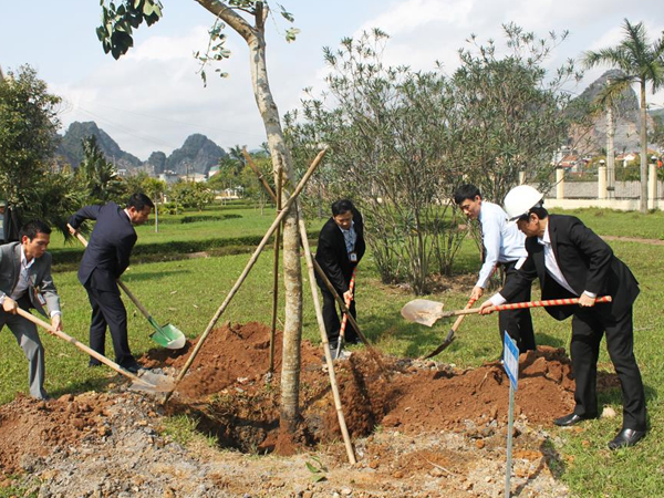 Công ty Cổ phần Xi măng Cẩm Phả tổ chức lễ ra quân đầu năm 2015 và hưởng ứng tết trồng cây
